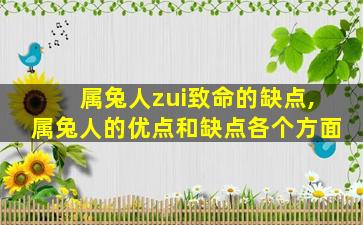 属兔人zui
致命的缺点,属兔人的优点和缺点各个方面