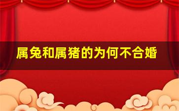 属兔和属猪的为何不合婚