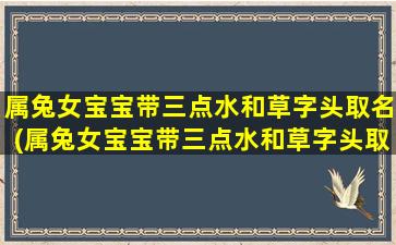 属兔女宝宝带三点水和草字头取名(属兔女宝宝带三点水和草字头取名字好吗)