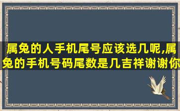 属兔的人手机尾号应该选几呢,属兔的手机号码尾数是几吉祥谢谢你