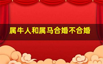 属牛人和属马合婚不合婚