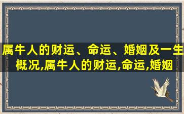 属牛人的财运、命运、婚姻及一生概况,属牛人的财运,命运,婚姻及一生概况如何