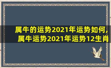 属牛的运势2021年运势如何,属牛运势2021年运势12生肖