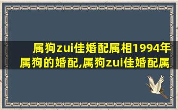 属狗zui
佳婚配属相1994年属狗的婚配,属狗zui
佳婚配属相1994年属狗的婚配怎么样