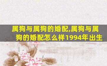 属狗与属狗的婚配,属狗与属狗的婚配怎么样1994年出生