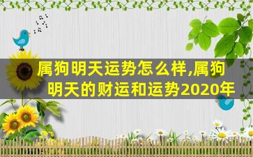 属狗明天运势怎么样,属狗明天的财运和运势2020年