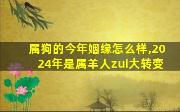 属狗的今年姻缘怎么样,2024年是属羊人zui
大转变