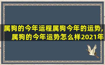 属狗的今年运程属狗今年的运势,属狗的今年运势怎么样2021年