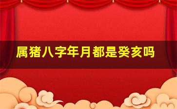 属猪八字年月都是癸亥吗