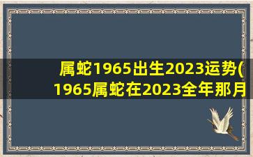 属蛇1965出生2023运势(1965属蛇在2023全年那月不顺)