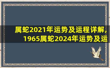 属蛇2021年运势及运程详解,1965属蛇2024年运势及运程详解