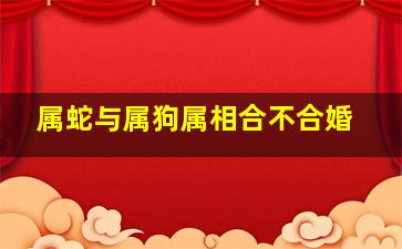 属蛇与属狗属相合不合婚