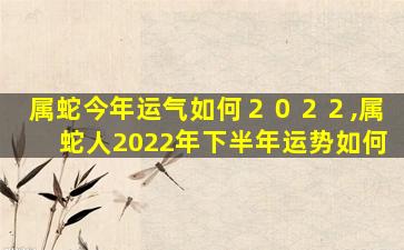 属蛇今年运气如何２０２２,属蛇人2022年下半年运势如何