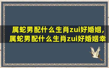 属蛇男配什么生肖zui
好婚姻,属蛇男配什么生肖zui
好婚姻幸福