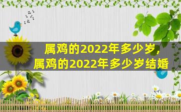 属鸡的2022年多少岁,属鸡的2022年多少岁结婚