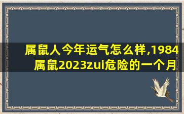 属鼠人今年运气怎么样,1984属鼠2023zui
危险的一个月