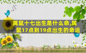 属鼠十七出生是什么命,属鼠17点到19点出生的命运