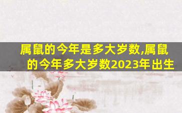 属鼠的今年是多大岁数,属鼠的今年多大岁数2023年出生