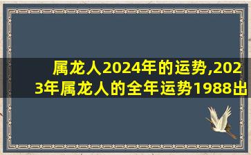 属龙人2024年的运势,2023年属龙人的全年运势1988出生