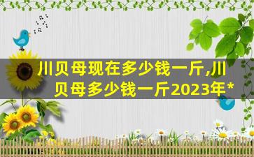 川贝母现在多少钱一斤,川贝母多少钱一斤2023年*
