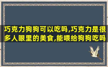 巧克力狗狗可以吃吗,巧克力是很多人眼里的美食,能喂给狗狗吃吗