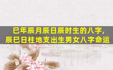 巳年辰月辰日辰时生的八字,辰巳日柱地支出生男女八字命运