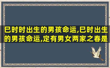 巳时时出生的男孩命运,巳时出生的男孩命运,定有男女两家之春是什么意思