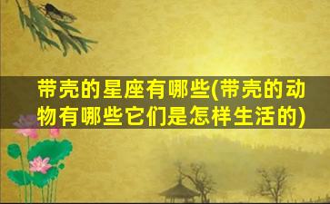 带壳的星座有哪些(带壳的动物有哪些它们是怎样生活的)