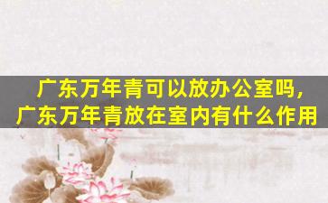 广东万年青可以放办公室吗,广东万年青放在室内有什么作用