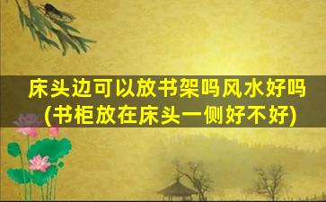 床头边可以放书架吗风水好吗(书柜放在床头一侧好不好)