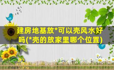 建房地基放*
可以壳风水好吗(*
壳的放家里哪个位置)