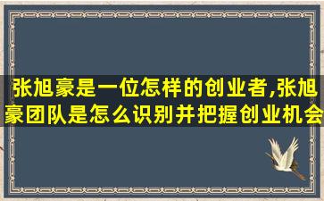 张旭豪是一位怎样的创业者,张旭豪团队是怎么识别并把握创业机会的