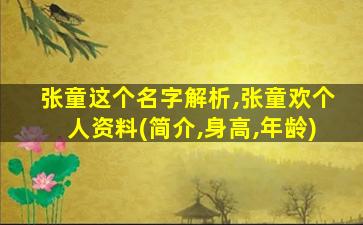 张童这个名字解析,张童欢个人资料(简介,身高,年龄)