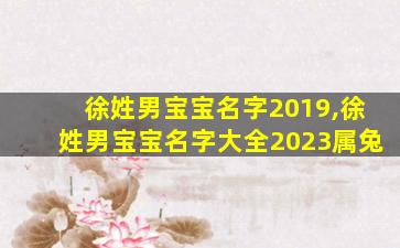 徐姓男宝宝名字2019,徐姓男宝宝名字大全2023属兔