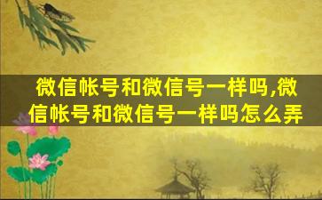 微信帐号和微信号一样吗,微信帐号和微信号一样吗怎么弄