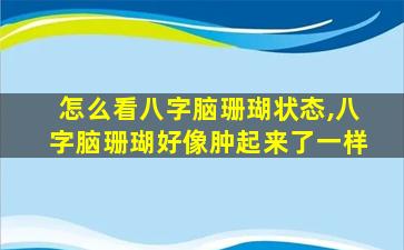 怎么看八字脑珊瑚状态,八字脑珊瑚好像肿起来了一样