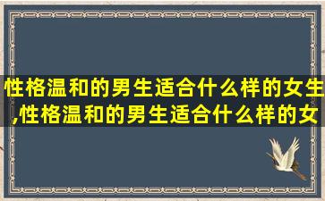 性格温和的男生适合什么样的女生,性格温和的男生适合什么样的女生结婚