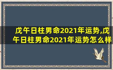 戊午日柱男命2021年运势,戊午日柱男命2021年运势怎么样