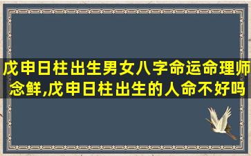 戊申日柱出生男女八字命运命理师念鲜,戊申日柱出生的人命不好吗