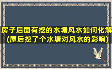 房子后面有挖的水塘风水如何化解(屋后挖了个水塘对风水的影响)