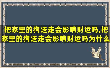 把家里的狗送走会影响财运吗,把家里的狗送走会影响财运吗为什么