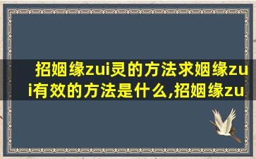 招姻缘zui
灵的方法求姻缘zui
有效的方法是什么,招姻缘zui
灵的方法求姻缘zui
有效的方法是什么意思