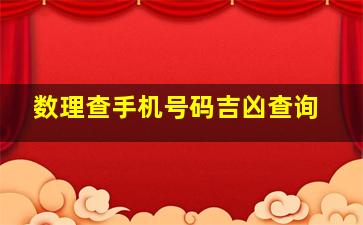 数理查手机号码吉凶查询