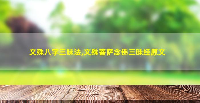 文殊八字三昧法,文殊菩萨念佛三昧经原文