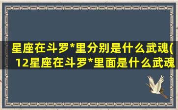 星座在斗罗*
里分别是什么武魂(12星座在斗罗*
里面是什么武魂)