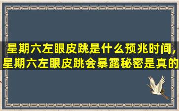 星期六左眼皮跳是什么预兆时间,星期六左眼皮跳会暴露秘密是真的吗