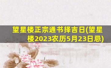 望星楼正宗通书择吉日(望星楼2023农历5月23日忌)