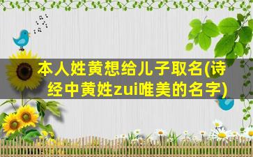 本人姓黄想给儿子取名(诗经中黄姓zui
唯美的名字)