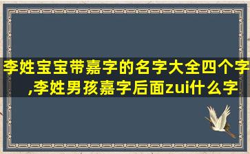 李姓宝宝带嘉字的名字大全四个字,李姓男孩嘉字后面zui
什么字好