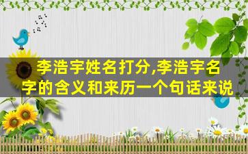 李浩宇姓名打分,李浩宇名字的含义和来历一个句话来说